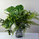 Planta Amazonas do Brasil